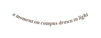 a moment on campus drawn in light