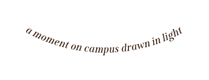 a moment on campus drawn in light